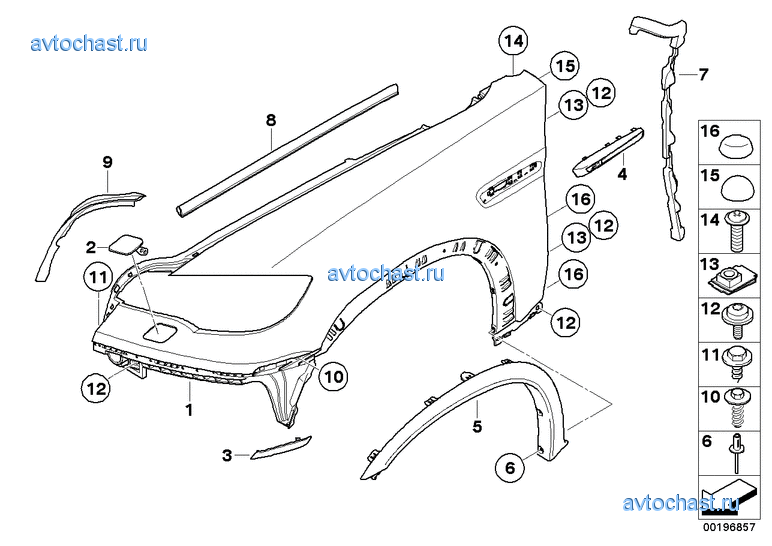 Переднее крыло M
