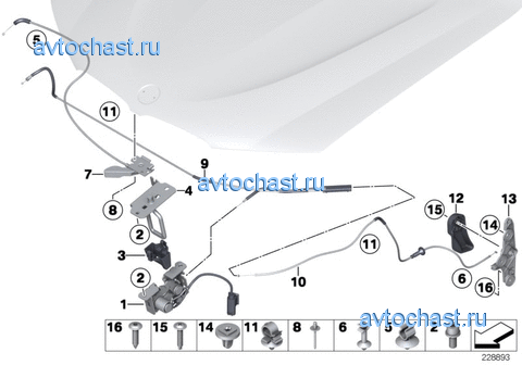 ������� ������ ������