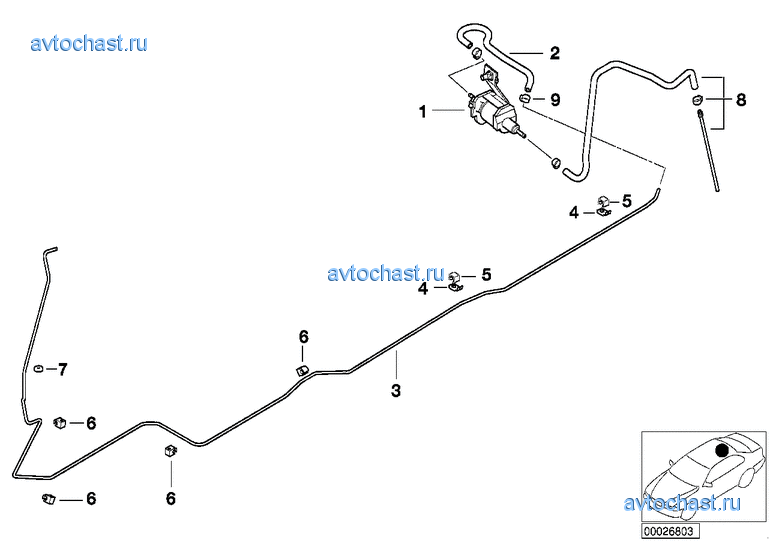 ������� ������ �������/�����/�����������