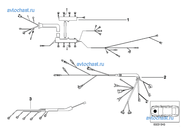 ���� �������� ���������