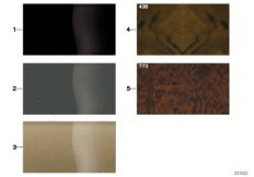 ���.� ���������, ������������ ������