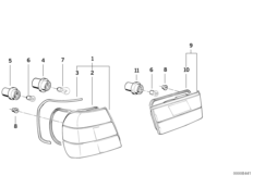 ���� ������ �������