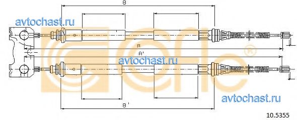 105355 COFLE ����