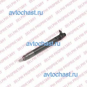 R00101DP DELPHI ����