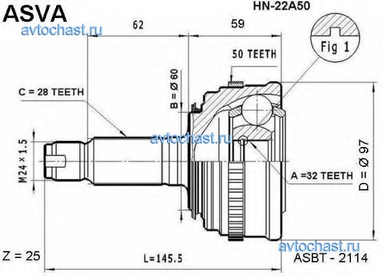 HN22A50 ASVA 