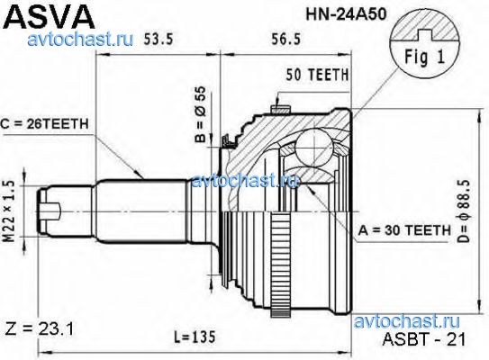 HN24A50 ASVA 