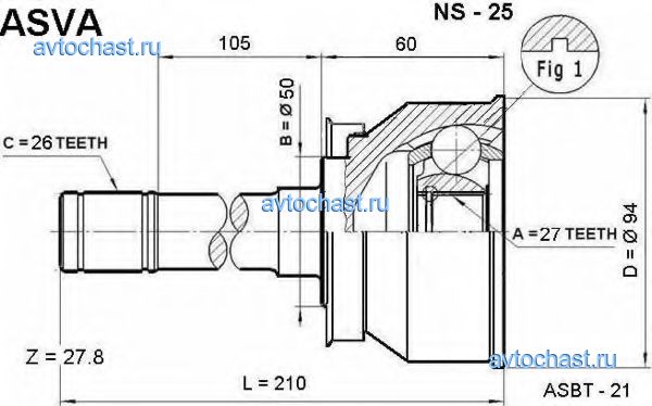 NS25 ASVA 