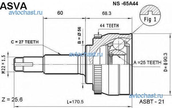 NS65A44 ASVA 