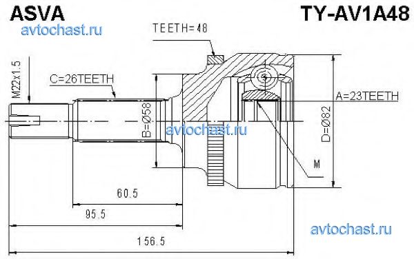 TYAV1A48 ASVA 