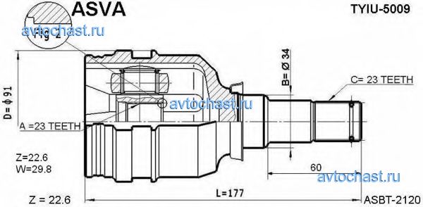 TYIU5009 ASVA 