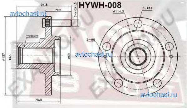 HYWH008 ASVA ����