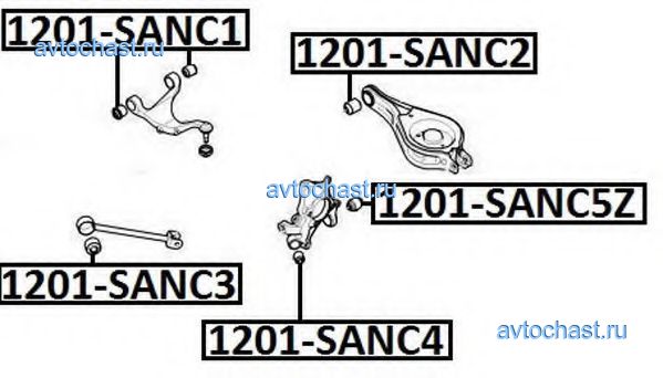 1201SANC5Z ASVA 