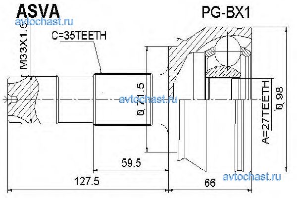 PGBX1 ASVA 