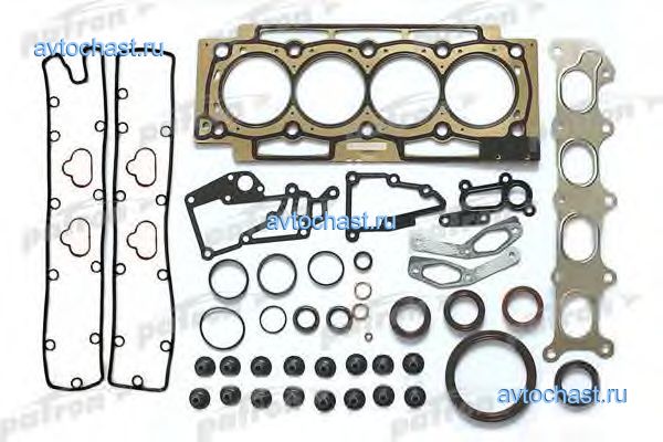 PG11009 PATRON ����