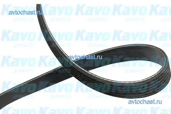 DMV2040 KAVO PARTS 