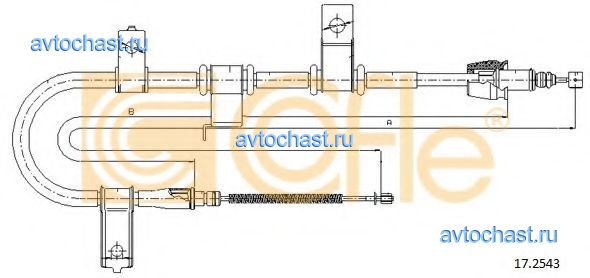 172543 COFLE ����