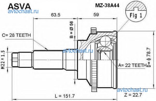 MZ38A44 ASVA ����