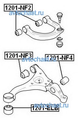 1201NF2 ASVA ����
