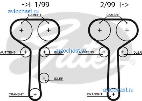 5508XS GATES 