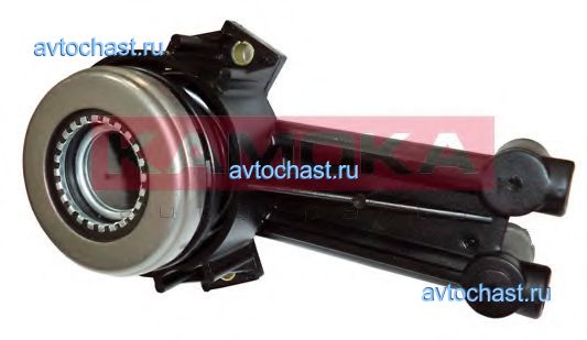 CC008 KAMOKA ����