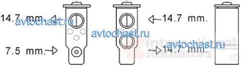 82001384 VAN WEZEL ����