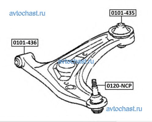 0101435 ASVA 