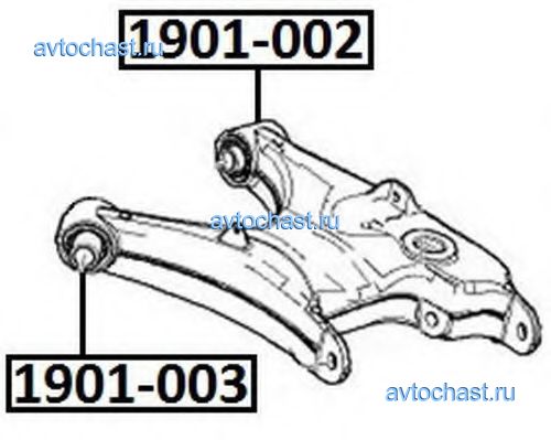 1901003 ASVA ����