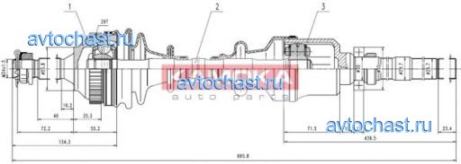 CT1138925A KAMOKA 