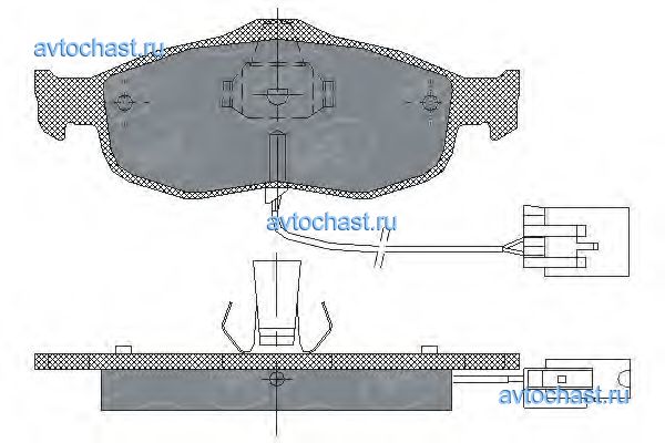 SP204 SCT GERMANY 