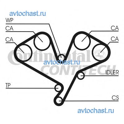 CT822 CONTITECH 