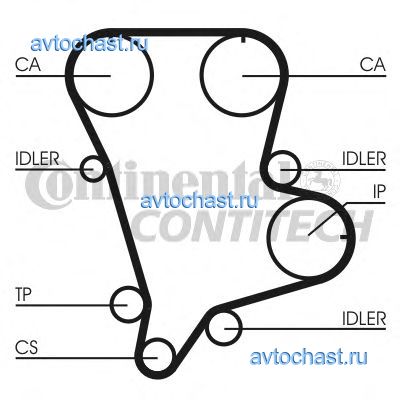 CT994 CONTITECH 