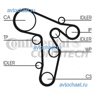 CT1134WP2 CONTITECH 