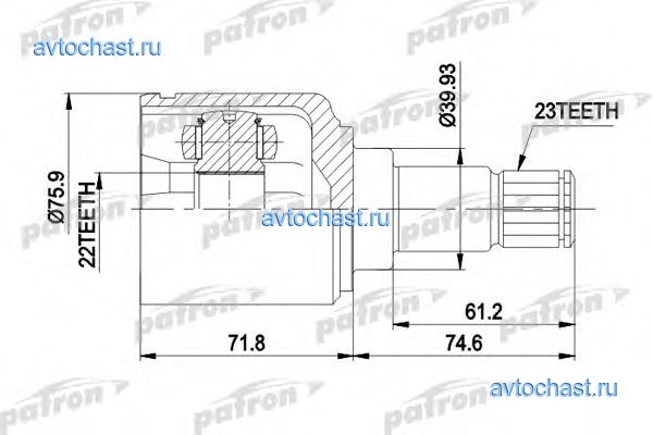 PCV5026 PATRON ����