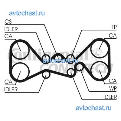 CT1058K2 CONTITECH 