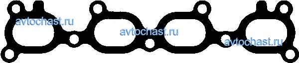 715305600 REINZ ФОТО