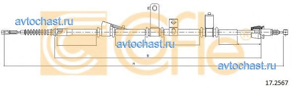172567 COFLE ФОТО