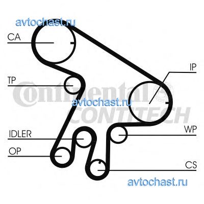 CT1043WP1 CONTITECH 