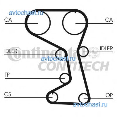 CT712 CONTITECH 