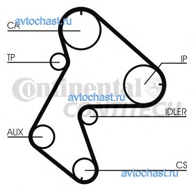 CT711 CONTITECH 