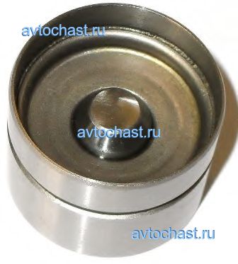 PI060021 FRECCIA ����