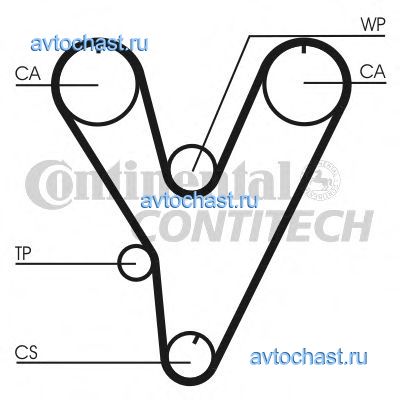 CT805 CONTITECH 