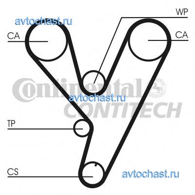 CT814 CONTITECH 