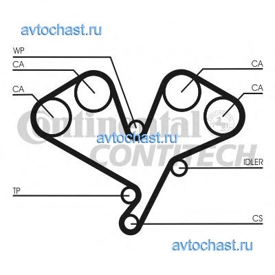 CT1113 CONTITECH 