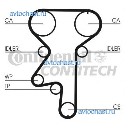 CT871 CONTITECH 