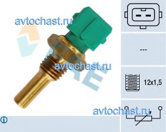 33600 FAE ����