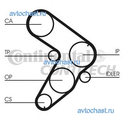 CT599 CONTITECH 