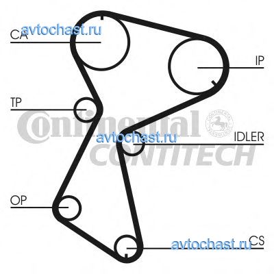 CT604 CONTITECH 