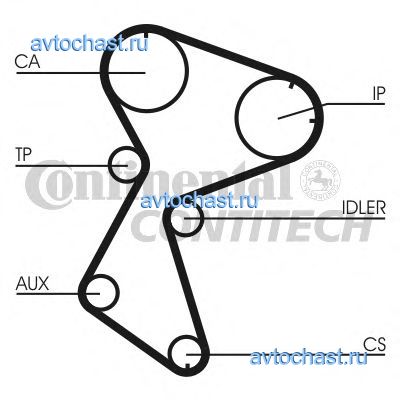 CT966 CONTITECH 