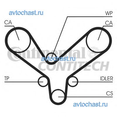 CT1175 CONTITECH 