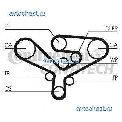 CT1135 CONTITECH 